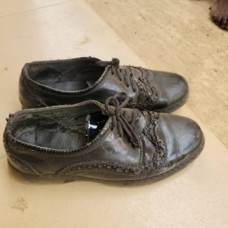 Shoe