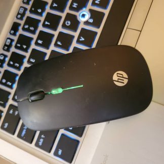 Mouse