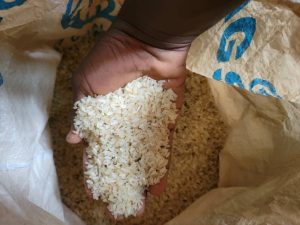 Rice